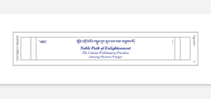 Khyentse Wangpo Ngondro