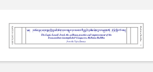 Medicine Buddha Sadhana