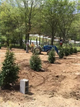 Caring For The Environment 2023