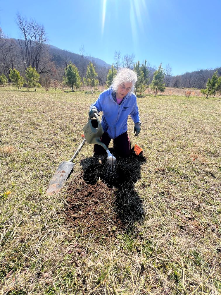 Caring For The Environment 2024